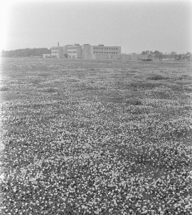 06M_P833S5D1973-0320_001